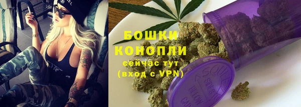 сатива Костерёво