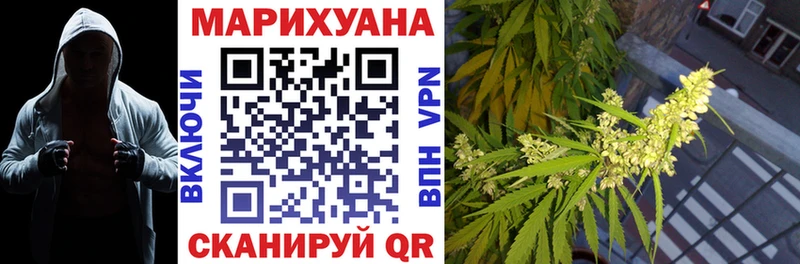Купить где  Ленинградская  Канабис SATIVA & INDICA 
